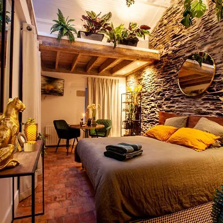 Boheme Les Petits Plaisirs Bed & Breakfast Angers