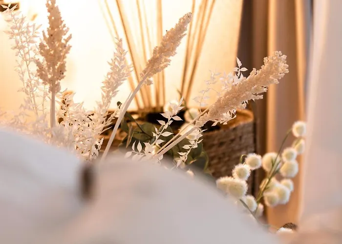 Bed & Breakfast Boheme Les Petits Plaisirs Angers