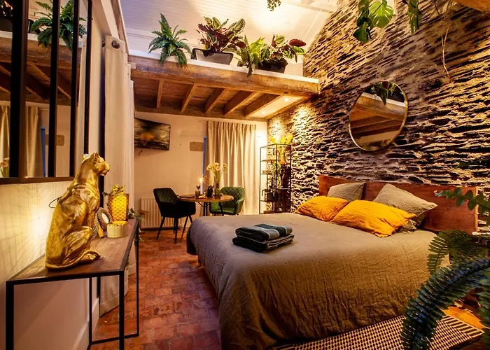 Boheme Les Petits Plaisirs Bed & Breakfast Angers